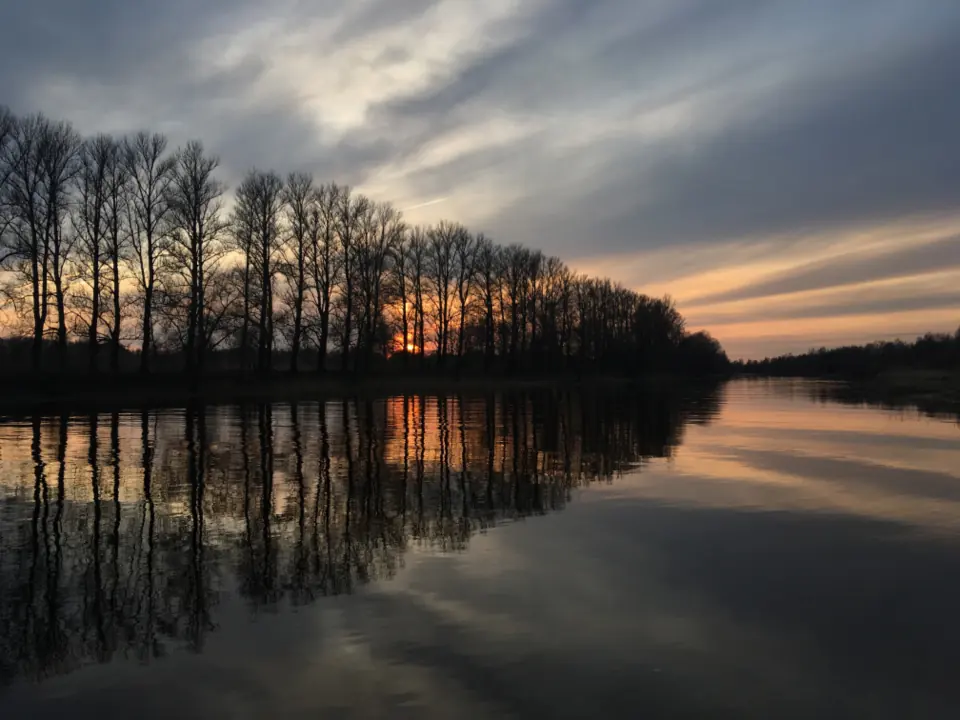 Still water at sunset reflecting a bare tree line, with an orange glow and soft grey clouds above